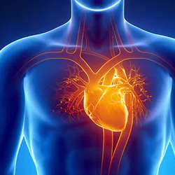 Heart Disease